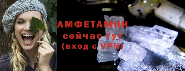 гидра Богородск