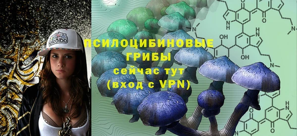 прущие крисы Беломорск