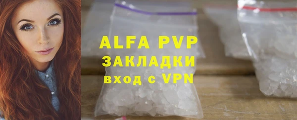 гидра Богородск