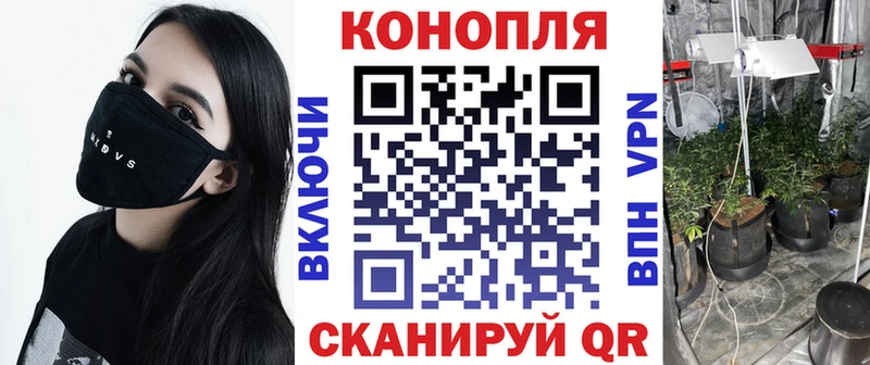 Бошки марихуана конопля  omg ссылка  Кириши  купить  
